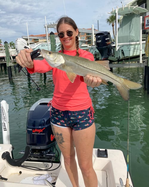 Inshore Fishing Trip