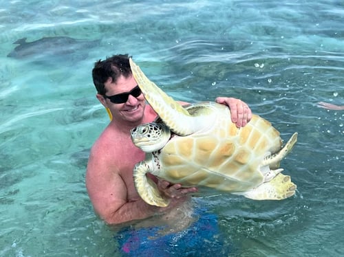 Swim With The Turtles
