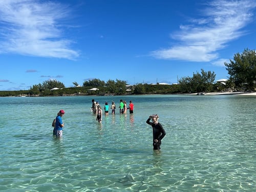Snorkeling & Sandbars