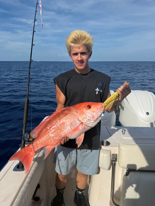  Red Snapper  June 1 