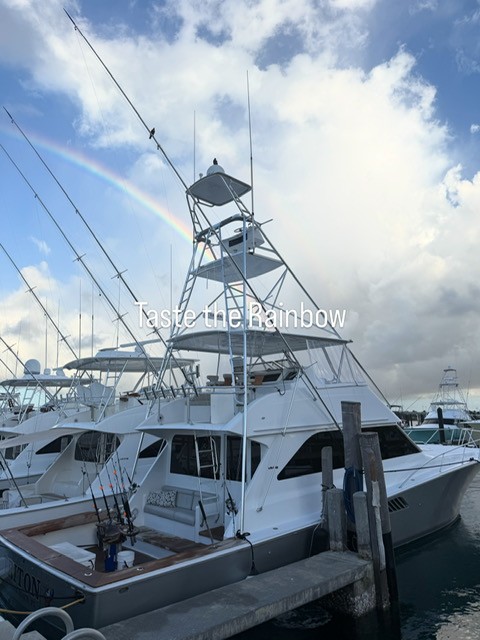 Palm Beach Offshore - 55' Viking