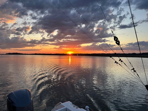 6 Hour Trip – Bottom Fishing