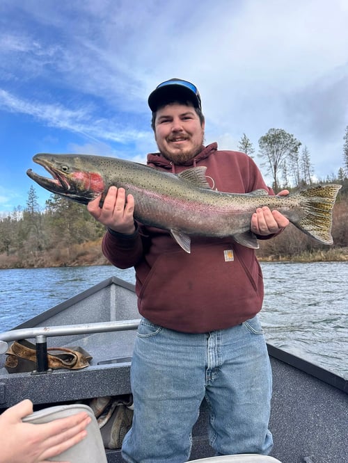 Guided Steelhead Trips