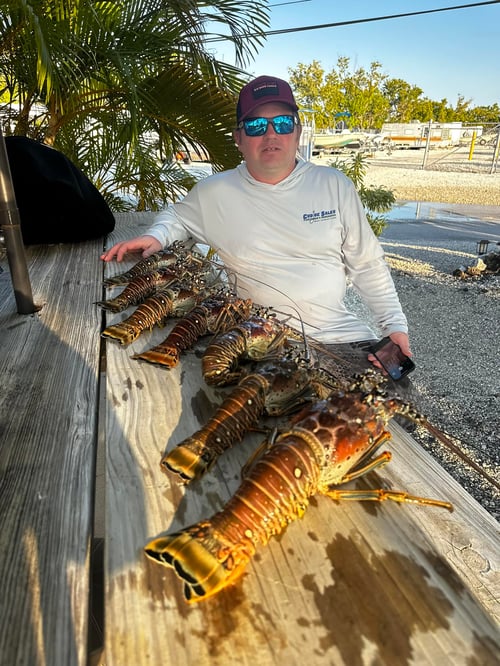 4 Hour – Lobster Snorkeling