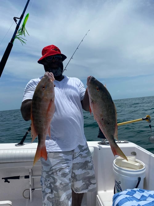4 Hour Trip – Reef & Wreck 