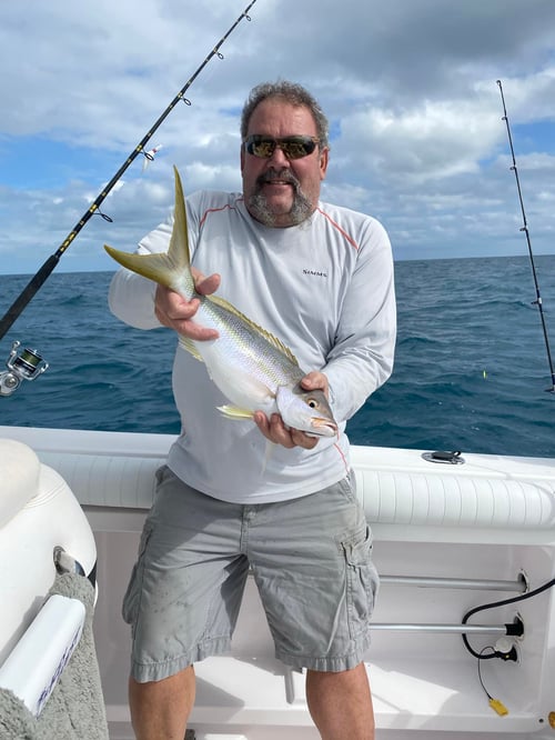 6-8 Hour Trip – Reef & Offshore