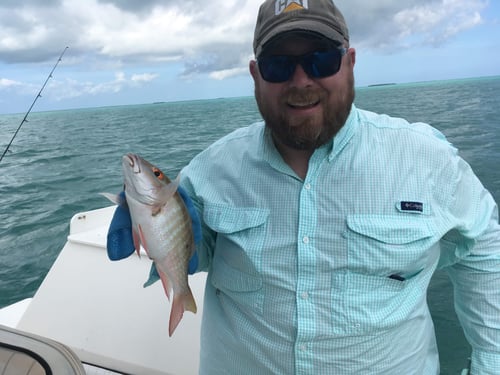 Fishing Trip 