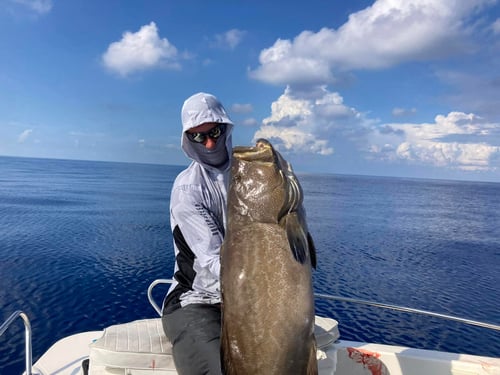 5-8 Hour Reef/Offshore Fishing