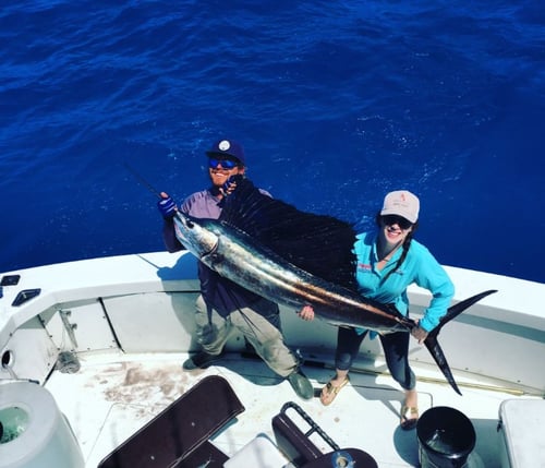 4-8 Hour Offshore Trip