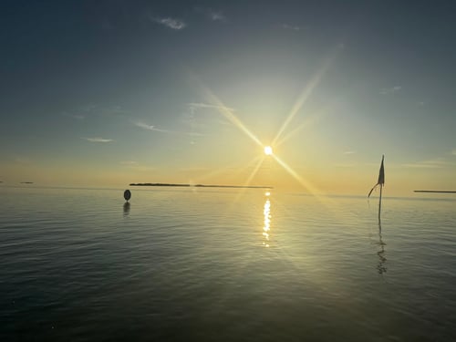 Luxury Sunset Cruise 