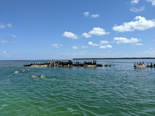 Private Sandbar & Snorkel Trip