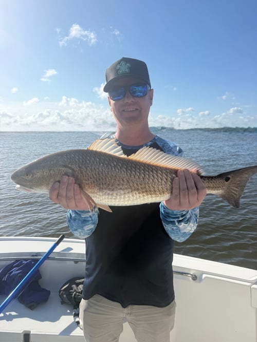 Inshore/Nearshore Fishing Charters!