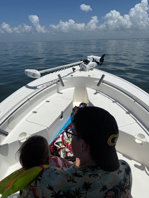 Custom Tours And Cruises!!