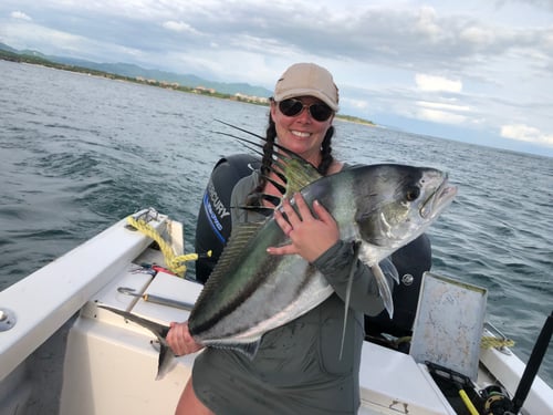 Full Day Trip (Open Sea)