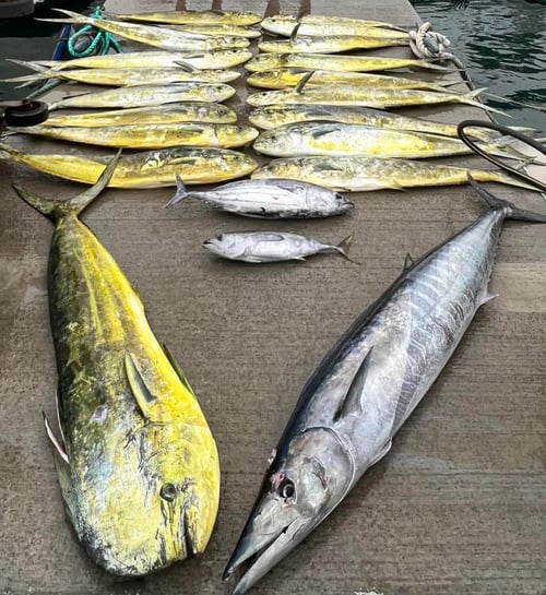 Half Day Charter 4 Hours