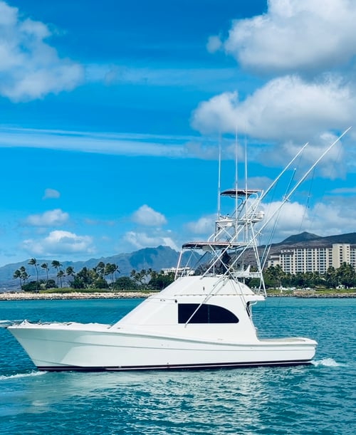 Half Day Charter 4 Hours