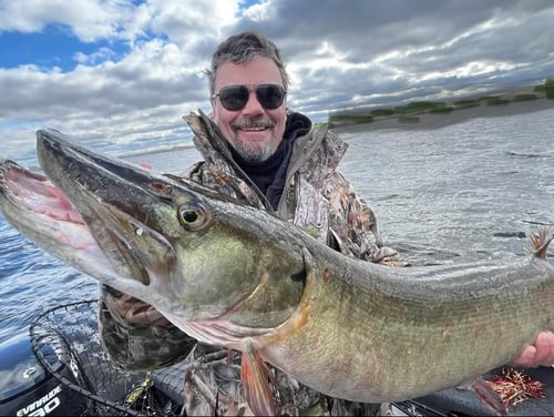  4-8 Hours Fishing Trip