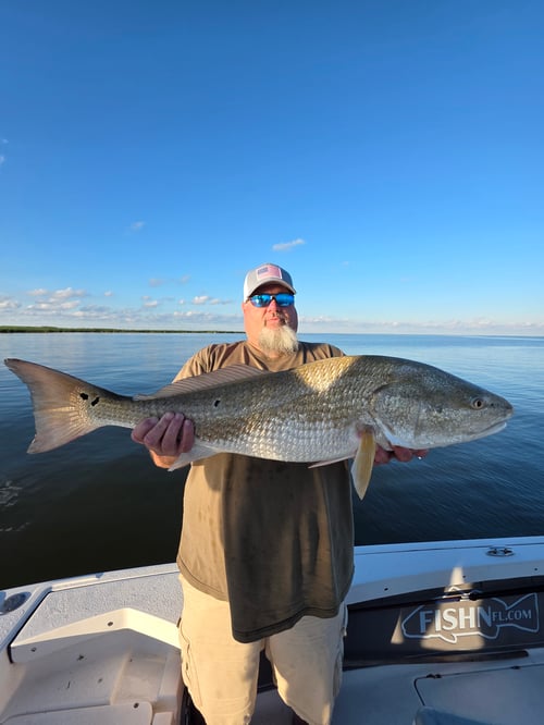 Venice Inshore Fishing Charter 