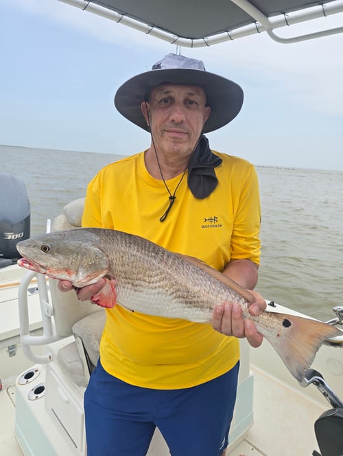 Venice Inshore Fishing Charter 