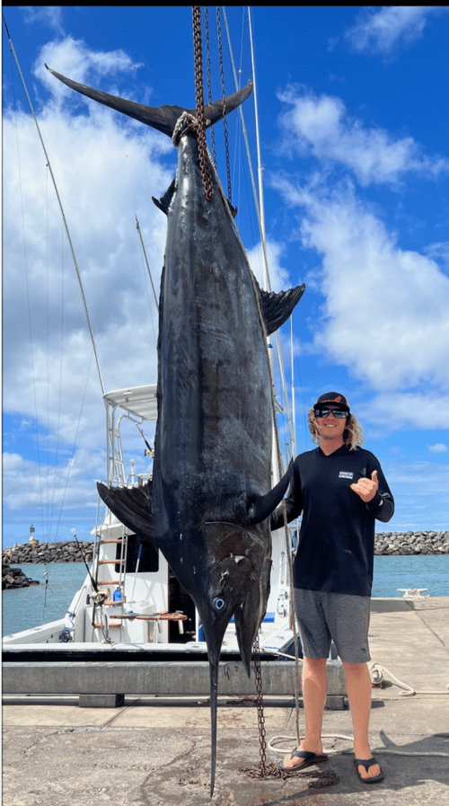 Full Day Charter