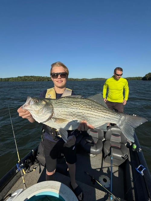 Hybrid/Striped Bass Trip