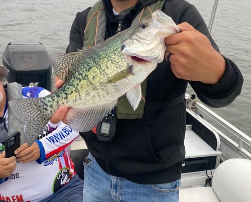 Panfish Trip