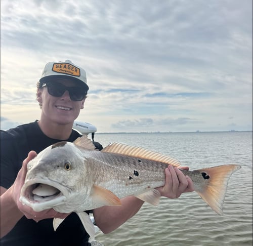 4 Hour Morning Bay Fishing Trip