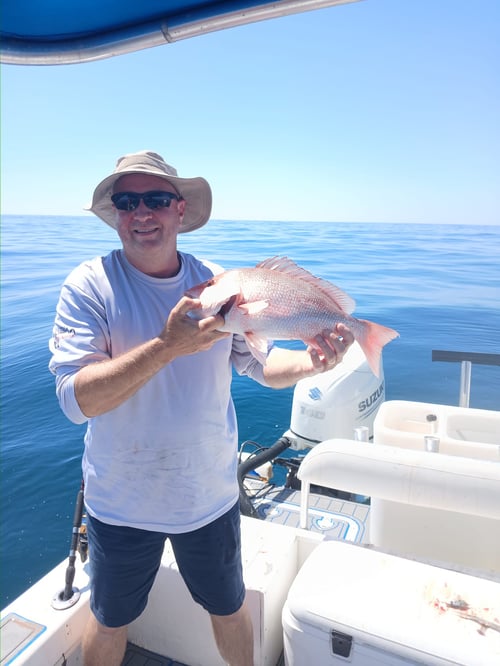 Red Snapper Special