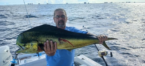 Wahoo Trolling