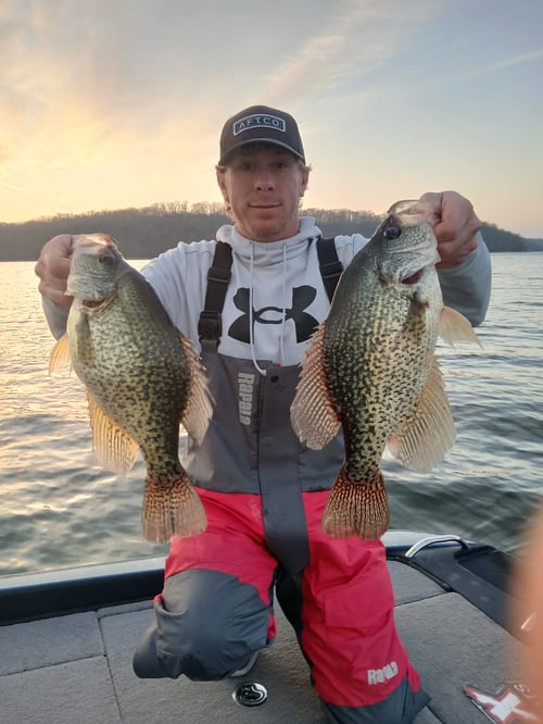 Livescope Crappie Fishing