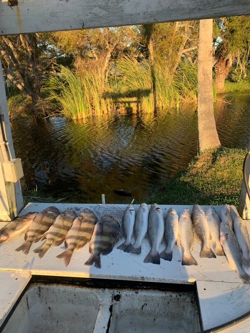 Inshore Fishing Trip