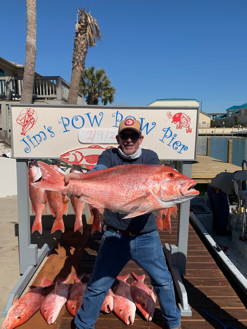 State Water Snapper Trips