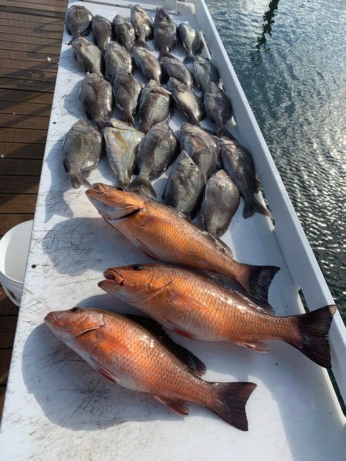 10 Hour Trip – Deepwater Voyage