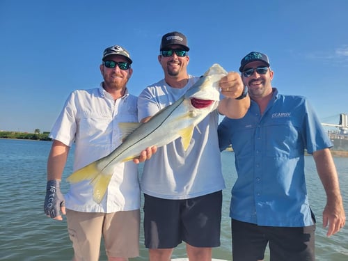 Inshore Fishing Trip