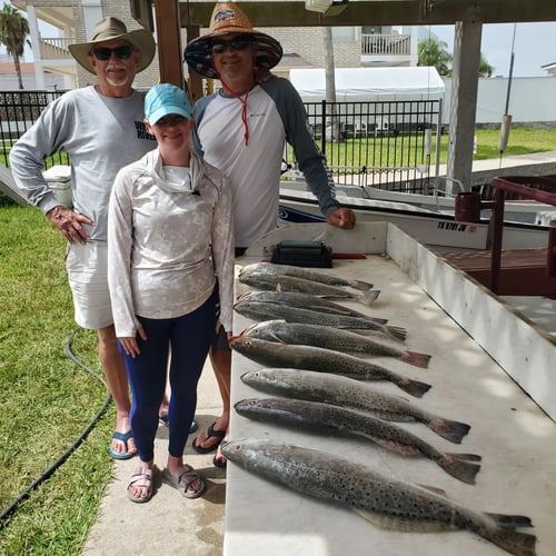 5hr Morning Bay Fishing