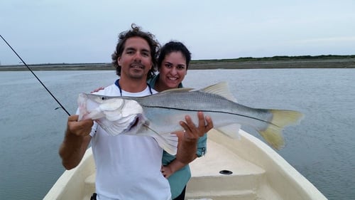 7 Hour Port Of Brownsville