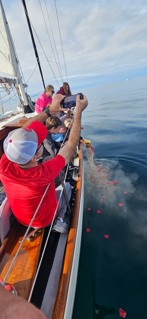 Pura Sail Half Day Trip