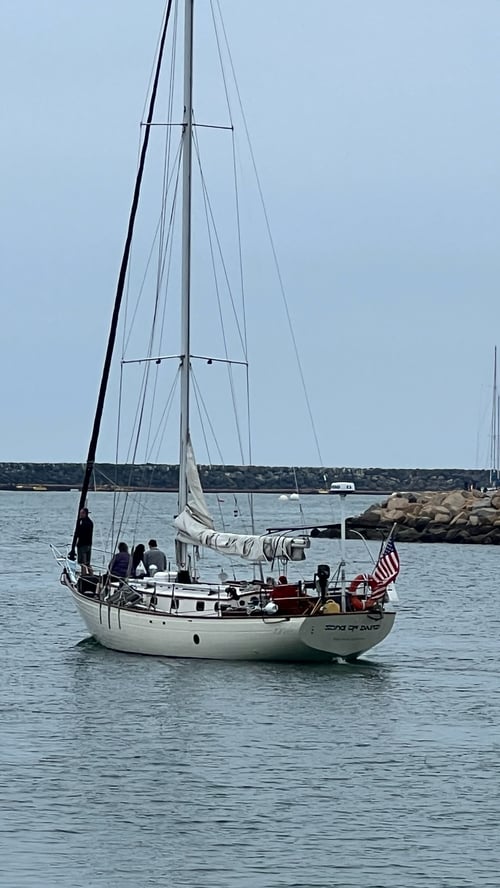 Pura Sail Half Day Trip