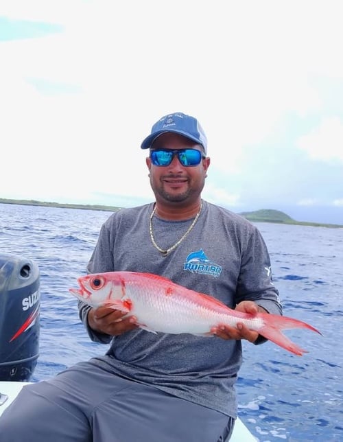 Slow-Pitch Jigging & Deep Drop