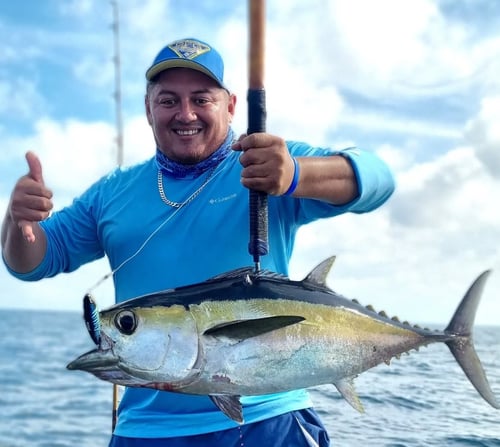 Offshore Trolling & Live Bait 