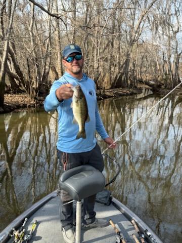 Bass Bonanza! 