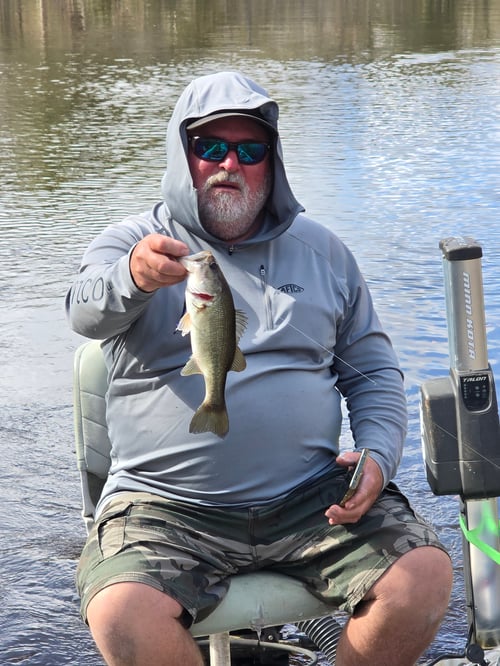 Bass Bonanza! 