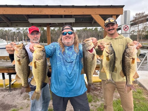 Bass Bonanza! 