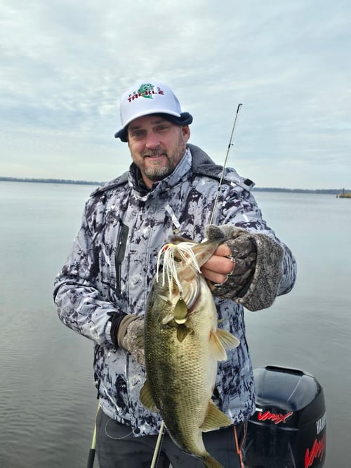 Bass Bonanza! 