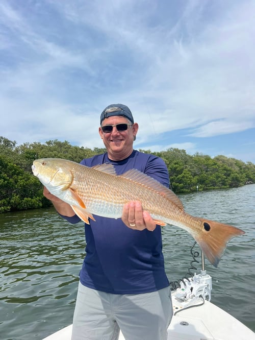 4-6 Hour Inshore Trip