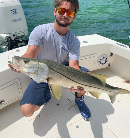 4-8 Hour Inshore Fishing