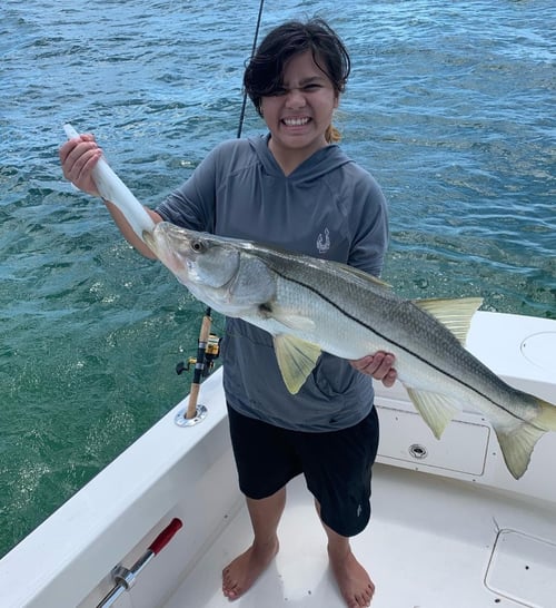 4-8 Hour Inshore Fishing