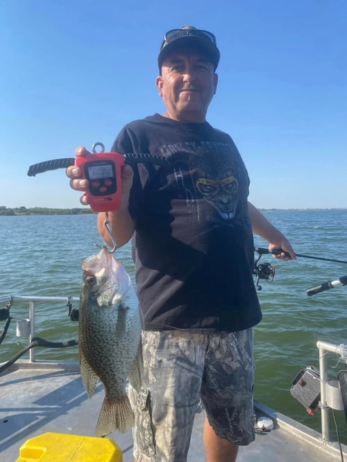 Lake Ray Hubbard Crappie Fishing