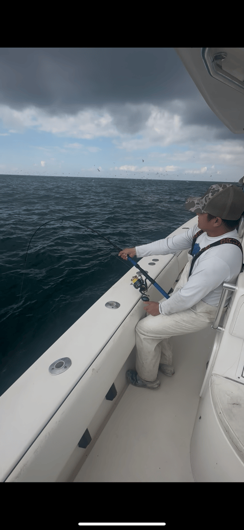 Full Day Offshore Trip