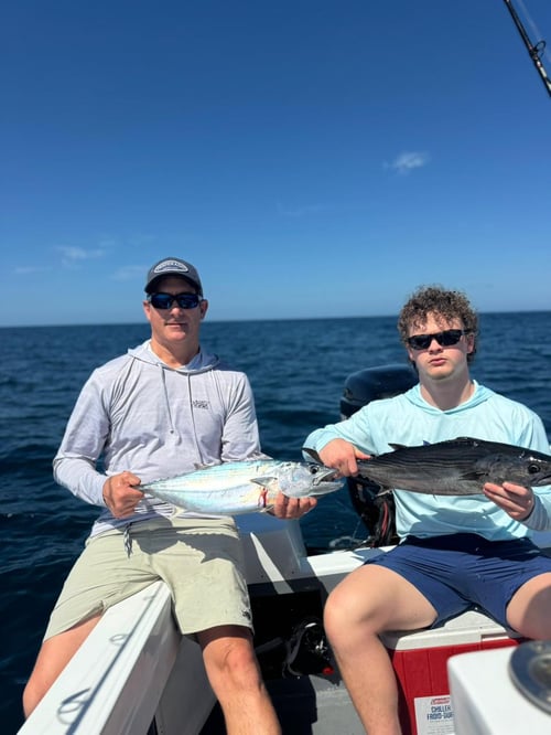 Fullday Offshore Deepfishing